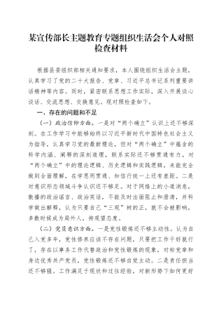 某宣传部长主题教育专题组织生活会个人对照检查材料