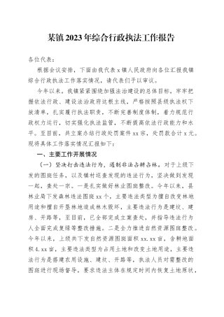 某镇2023年综合行政执法工作报告