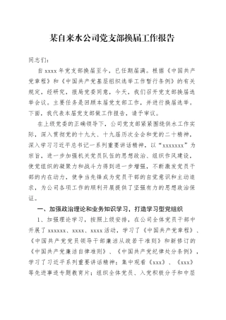某自来水公司党支部换届工作报告