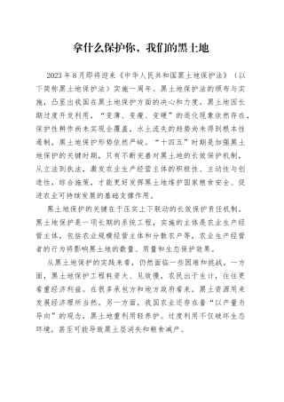 拿什么保护你，我们的黑土地