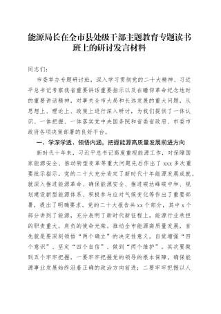 能源局长在全市县处级干部主题教育专题读书班上的研讨发言材料