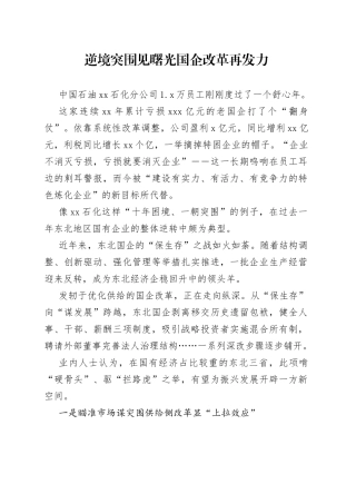 逆境突围见曙光 国企改革再发力