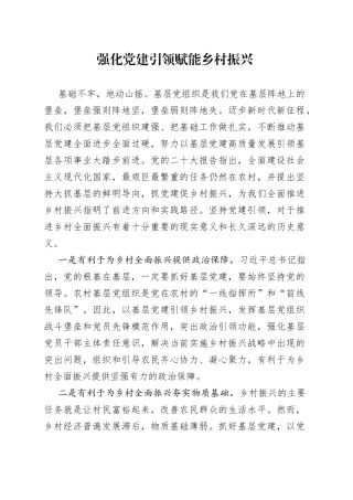 强化党建引领赋能乡村振兴