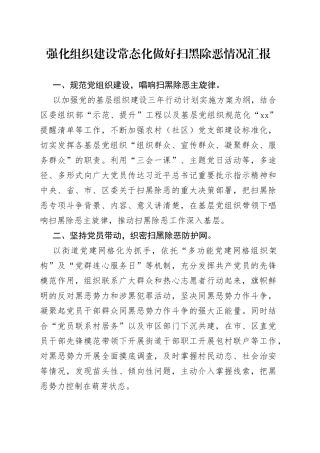 强化组织建设常态化做好扫黑除恶情况汇报