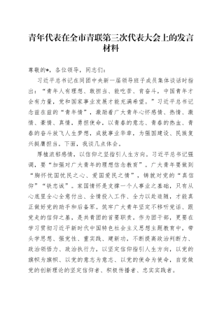 青年代表在全市青联第三次代表大会上的发言材料