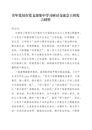 青年党员在党支部集中学习研讨交流会上的发言材料