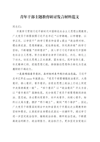 青年干部主题教育研讨发言材料题心得体会主要