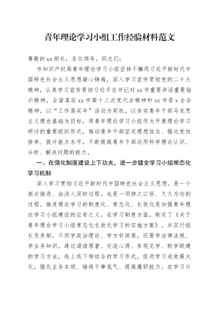 青年理论学习小组工作经验材料干部汇报总结报告