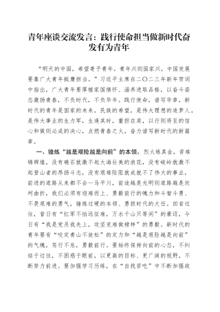 青年座谈交流发言：践行使命担当做新时代奋发有为青年