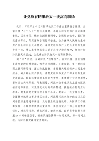 让党旗在防汛救灾一线高高飘扬