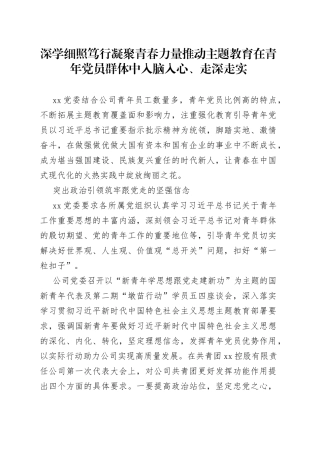 深学细照笃行 凝聚青春力量 推动主题教育在青年党员群体中入脑入心、走深走实