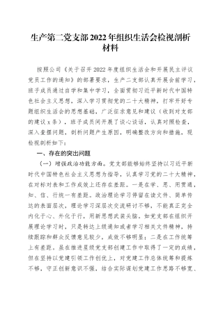 生产第二党支部2022年组织生活会检视剖析材料