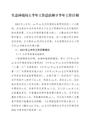 生态环境局2023年上半年工作总结和下半年工作计划