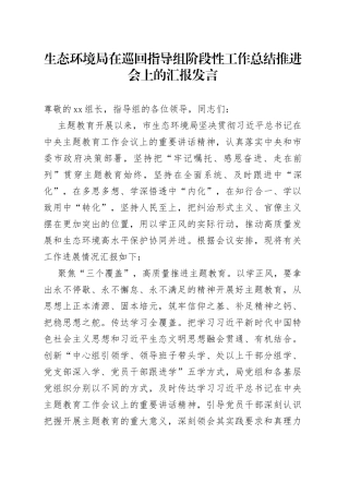 生态环境局在巡回指导组阶段性工作总结推进会上的汇报发言