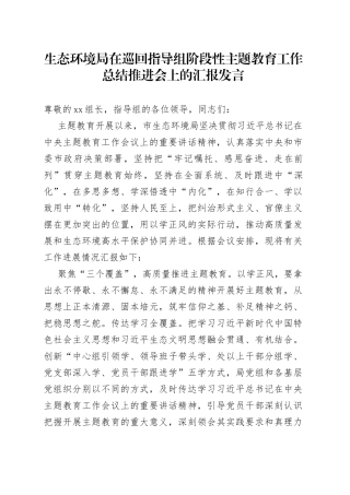 生态环境局在巡回指导组阶段性主题教育工作总结推进会上的汇报发言