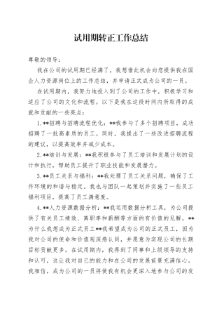 试用期转正工作总结