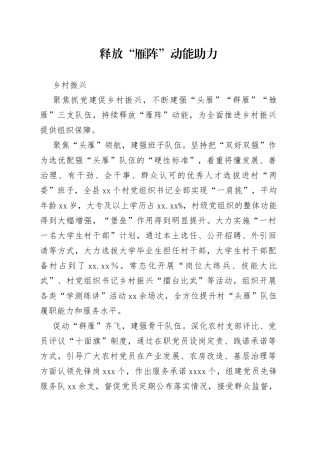 释放“雁阵”动能助力乡村振兴（农村党建）