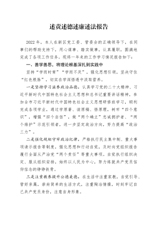 述责述德述廉述法报告