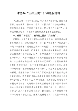 水务局“三抓三促”行动经验材料