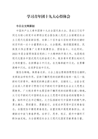 税务部门学习共青团十九大心得