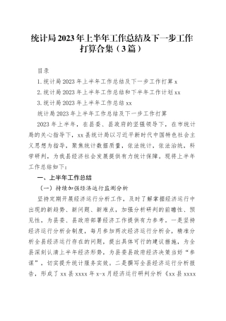 统计局2023年上半年工作总结及下一步工作打算合集（3篇）
