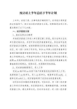 统计站上半年总结下半年计划