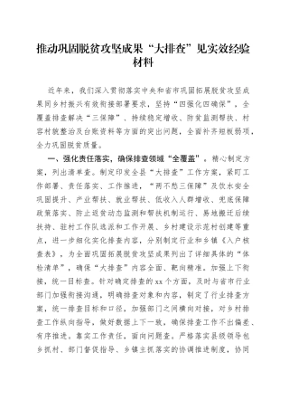 推动巩固脱贫攻坚成果“大排查”见实效经验材料