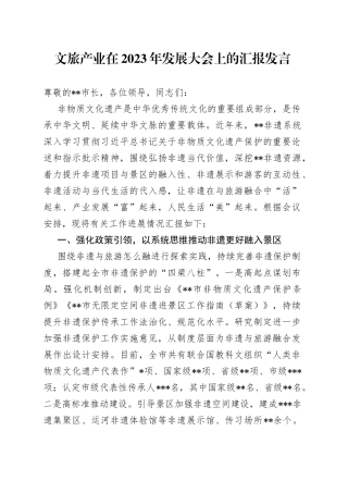 文旅产业在2023年发展大会上的汇报发言