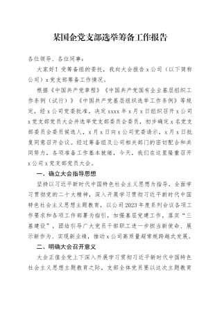 某国企党支部选举筹备工作报告