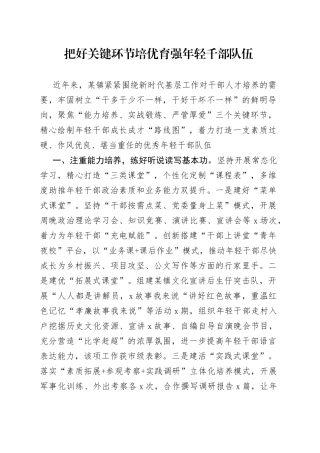 把好关键环节 培优育强年轻千部队伍