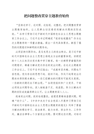 把问题整改贯穿主题教育始终