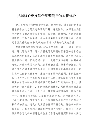 把握核心要义深学细照笃行的心得体会