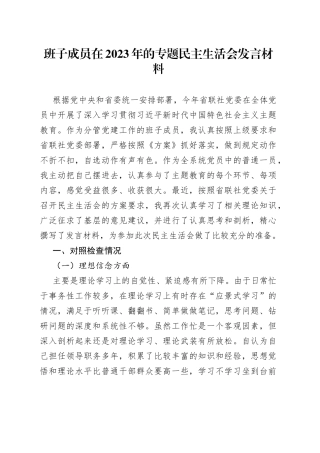 班子成员在2023年的专题民主生活会发言材料