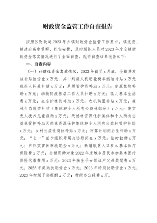 财政资金监管工作自查报告