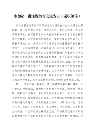 参加第一批主题教育交流发言（副职领导）