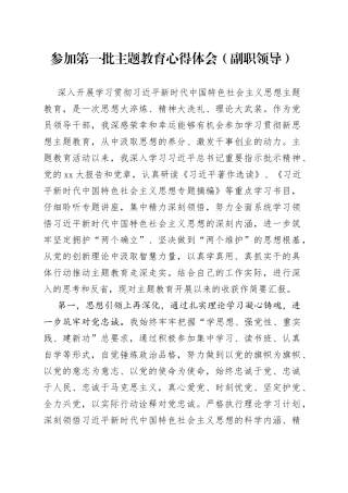 参加第一批主题教育心得体会（副职领导）