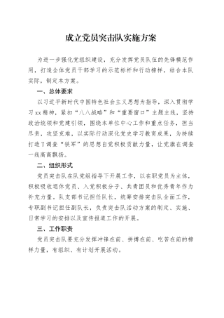 成立党员突击队实施方案