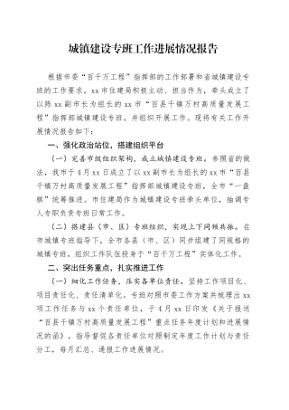 城镇建设专班工作进展情况报告