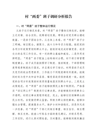 村“两委”班子调研分析报告