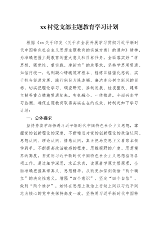 村党支部主题教育学习计划