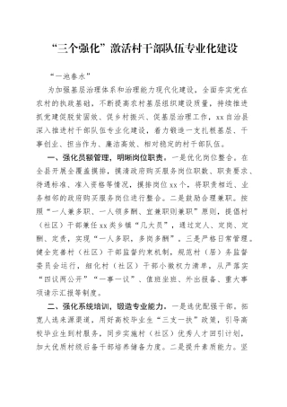 村干部队伍专业化建设情况汇报