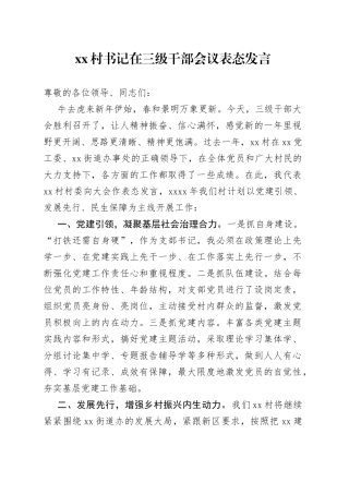 村书记在三级干部会议表态发言