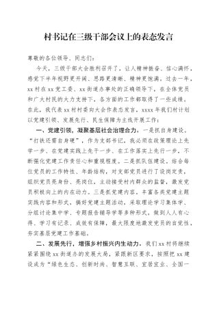 村书记在三级干部会议上的表态发言