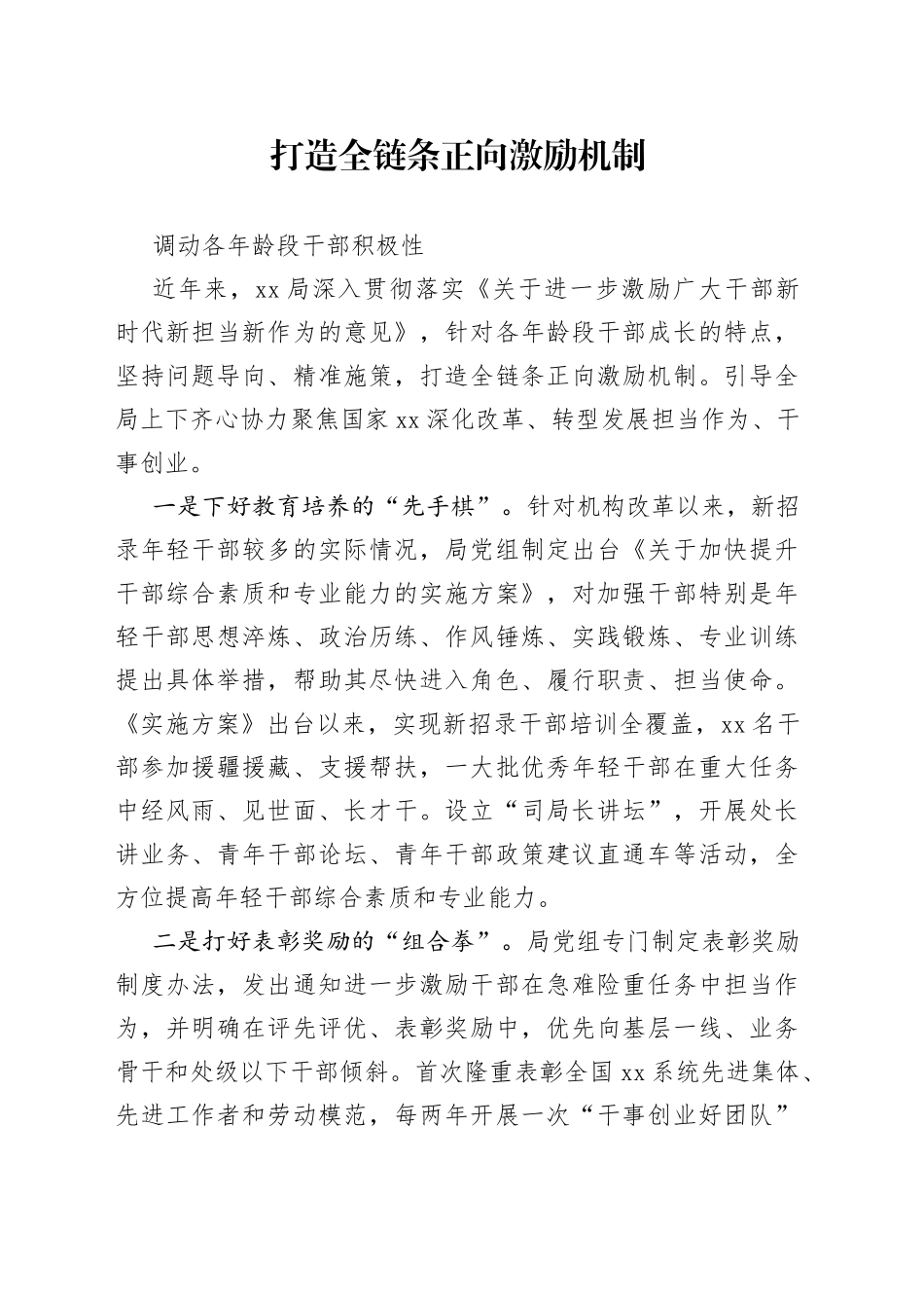 打造全链条正向激励机制工作经验_第1页