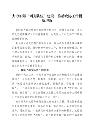 大力加强“两支队伍”建设，推动政协工作提质增效