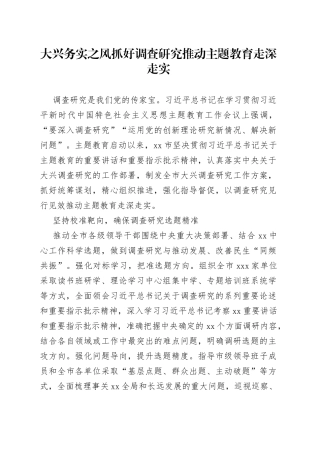 大兴务实之风  抓好调查研究推动主题教育走深走实