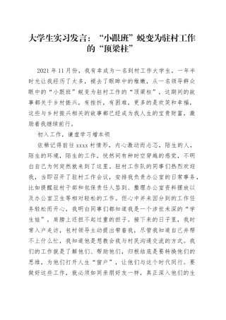 大学生实习发言：“小跟班”蜕变为驻村工作的“顶梁柱”