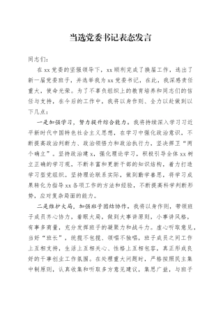 当选党委书记表态发言