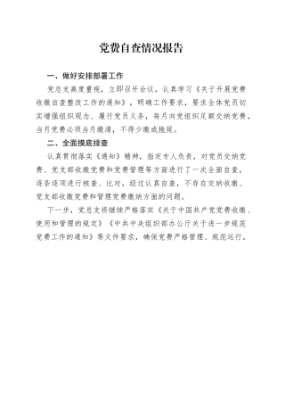 党费自查情况报告