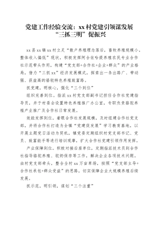 党建工作经验交流： 村党建引领谋发展 “三抓三明”促振兴